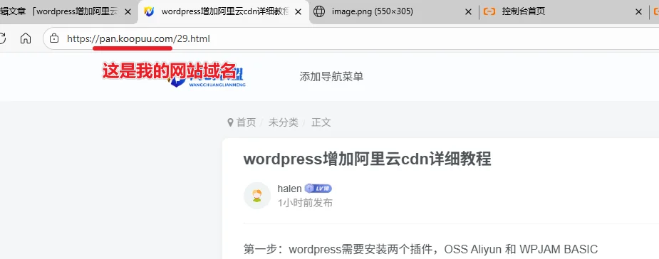 图片[29]-2026年最新wordpress增加阿里云OSS和阿里云cdn详细教程-网创联盟